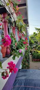 a bunch of flowers on the side of a building at Royal Palm Homestay in Madikeri