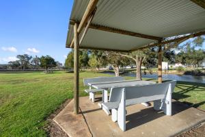 a group of benches under a pavilion in a park at Crows Nest Tourist Park in Crows Nest