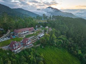 Fotografie z fotogalerie ubytování The Planet Munnar v destinaci Suryanelli + 61 fotografií