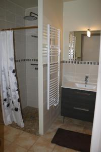 y baño con lavabo y ducha. en Etape Cathare, en Duillac