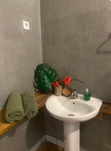 Φωτογραφία από το άλμπουμ του HeiAki Lodge Excursion Nukuhiva Chambre Hei σε Nuku Hiva