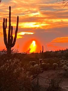 a sunset in the desert with a cactus at Boulder Apache Junction in Apache Junction