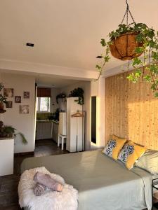 A kitchen or kitchenette at Sunshine loft