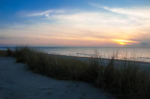 エグモント・アーン・ゼーにあるDE BLAAUBOER, vakantiehuisjeの芝生と海の夕日