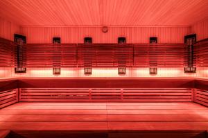 an empty auditorium with red seats in a theatre at Elements Hotel&Spa in Świeradów-Zdrój