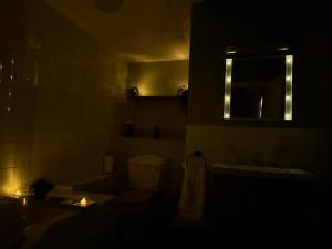 a bathroom with a toilet and a sink and a mirror at Luxe city stay in Ipswich