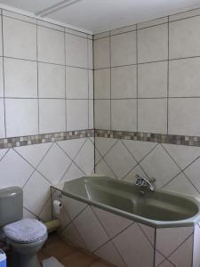 a bathroom with a green sink and a toilet at Guesthouse in the Waterberg in Ouklip