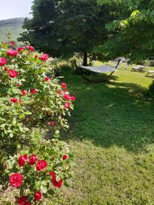 Zahrada ubytování Nabat le Haut, chambre et table d'hotes