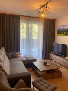 TV a/nebo společenská místnost v ubytování Apartment Tatry mountain