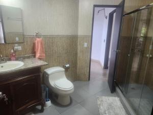 une salle de bain avec toilettes, lavabo et douche dans l'établissement Villa Cotopaxi, Cerro Azul, à Los Altos de Cerro Azul 9 autres photos