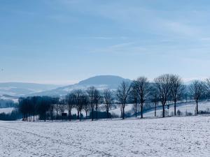 Naturlandskabet i nærheden af lejligheden