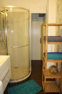ein Bad mit einer Dusche mit einer Leiter und einer Katze auf einem Teppich in der Unterkunft Casa Vienna in Wien