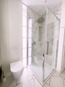 a bathroom with a shower and a toilet at Apartament Ratuszowy in Białystok +2 photos