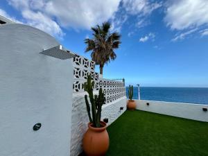 a white building with a palm tree in a yard at Vera Beach House in Maspalomas