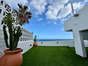a house with a plant in a vase next to the ocean at Vera Beach House in Maspalomas +23 photos