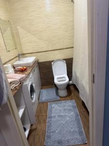 a bathroom with a toilet and a sink and a washing machine at Алатау уют in Almaty