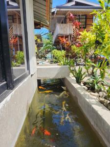 a fish pond in front of a house at JFive Homes by the Sea in Lianga