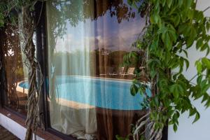 a window with a view of a swimming pool at Monte dos Casarões- Casinha in Odemira