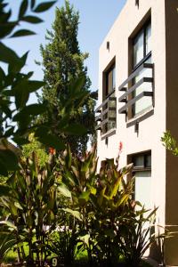Um jardim em The owl lodge