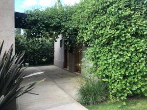 Um jardim em The owl lodge