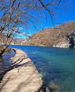 a wooden path leading into a body of water at Etno wooden room in Rakovica