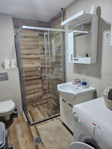 a bathroom with a shower and a toilet and a sink at Apartman Sofija in Banja Koviljača +45 photos