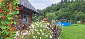 O grădină în afara Domki z bali Ciche Marzenie