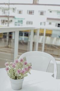 Fotografie z fotogalerie ubytování Hotel Dona Pina v destinaci Francisco Beltrão