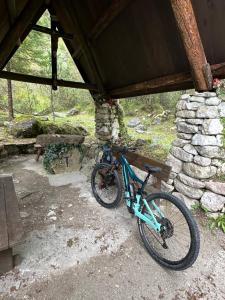 Jízda na kole v ubytování Villa Serena B&B Seren del Grappa nebo okolí