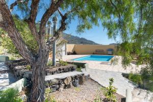 a tree in front of a swimming pool at El Jardín de las Pléyades in Los Llanos de Aridane