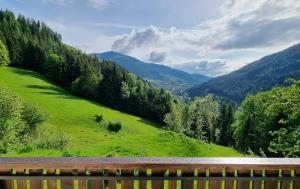 Příroda nedaleko apartmánu