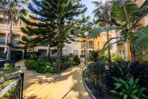 Un patio con palmeras y un edificio. en Costa Ballena - Apt para 6 con piscina, terraza, WiFi y parking gratis, en Rota