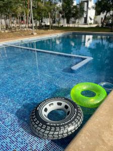 a swimming pool with a tire and a green raft at Casa de huéspedes a solo 10 minutos la Playa in Playa del Carmen