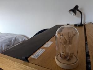 eine Glasscheibe mit einer Pflanze auf dem Tisch. in der Unterkunft R1 - Bright Quiet Double - City & Beach Access, WIFI, Free Parking - Self Catering in Swansea