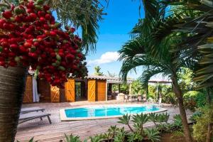 a bunch of fruit hanging from a tree next to a pool at villa Willisa in Bouillante