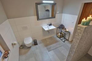 a bathroom with a toilet and a sink and a mirror at BLUMENSTIL Ferienwohnungen in Bad Salzungen