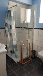 a bathroom with a shower and a toilet at Ferienhaus Loreleytraum, Wohnung Obergeschoss in Sankt Goarshausen +17 photos