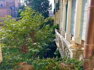 A garden outside Capitan Antonin