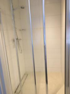 a shower with a glass door in a bathroom at 't Reijmerhöfke in Reijmerstok