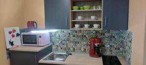 a toy kitchen with a sink and a microwave at Ahornnest in Bingerbrück +16 photos