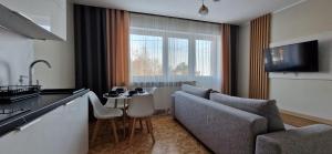 Μια τηλεόραση ή/και κέντρο ψυχαγωγίας στο Villa Port Apartamenty