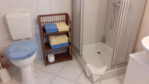 a bathroom with a shower and a toilet and a sink at Günstige Wohnung in Ostfriesland auch für die kleine Familie in Utarp