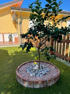 A garden outside Villa Karillos