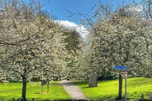 einen Pfad in einem Park mit Bäumen mit weißen Blumen in der Unterkunft Rowan Cottage Lanchester-Escape Beyond Holiday Lets in Lanchester