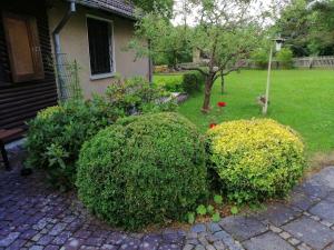 two large bushes in front of a house at Hasenecke in Bad Salzungen