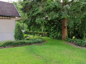 a yard with a tree and a house at Hasenecke in Bad Salzungen