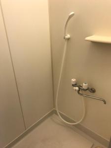 Koupelna v ubytování 新宿東京暖房