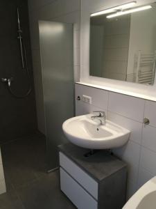 ein Badezimmer mit Waschbecken, Spiegel und Dusche in der Unterkunft Blackforest Lounge direkt an der Skipiste, inkl Parkplatz und Skiraum in Rinken