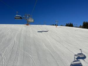 Skifahren in der Ferienwohnung oder in der Nähe