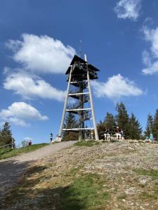Galeriebild der Unterkunft Blackforest Lounge direkt an der Skipiste, inkl Parkplatz und Skiraum in Rinken